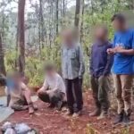 Liberan a 6 de los campesinos secuestrados de El Balcón, Guerrero; todavía falta uno thumbnail